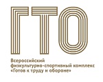 Перейти на сайт gto.ru - Всероссийский физкультурно-спортивный комплекс 